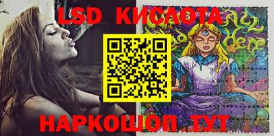 мдпв Гусев