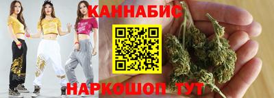 мдпв Гусев
