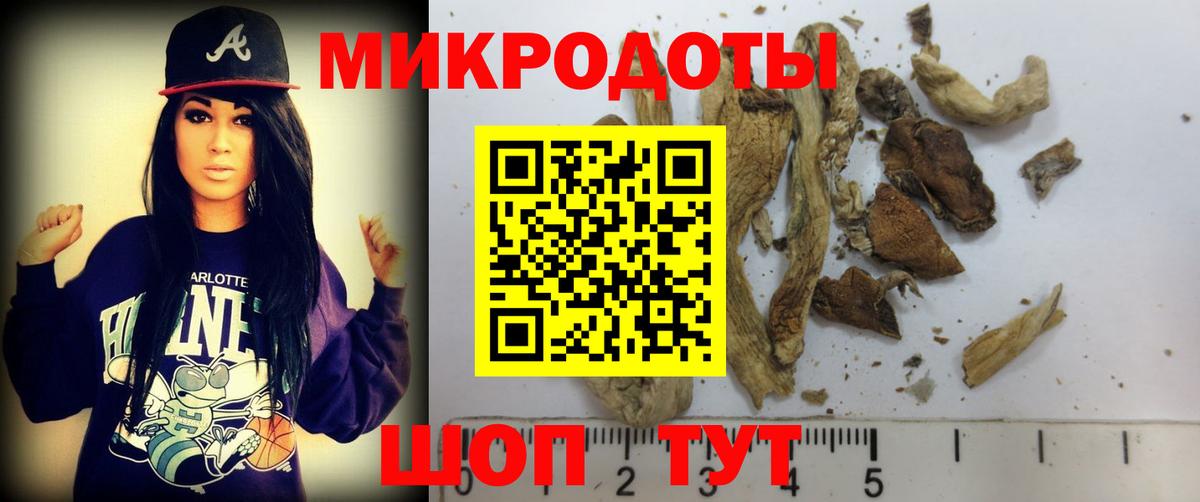 Галлюциногенные грибы мухоморы Киселёвск