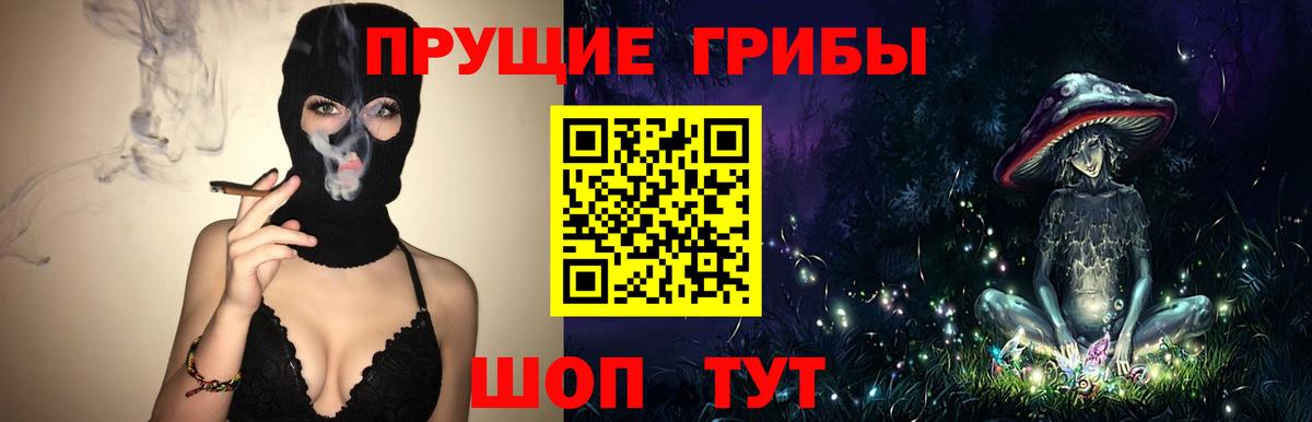 Псилоцибиновые грибы MAGIC MUSHROOMS  Галлюциногенные грибы Psilocybine cubensis  Киселёвск  Вход с VPN 